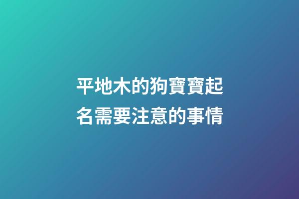 平地木的狗寶寶起名需要注意的事情