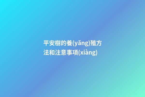 平安樹的養(yǎng)殖方法和注意事項(xiàng)