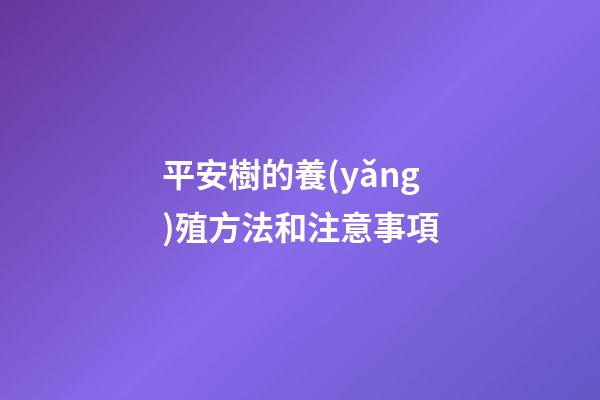 平安樹的養(yǎng)殖方法和注意事項