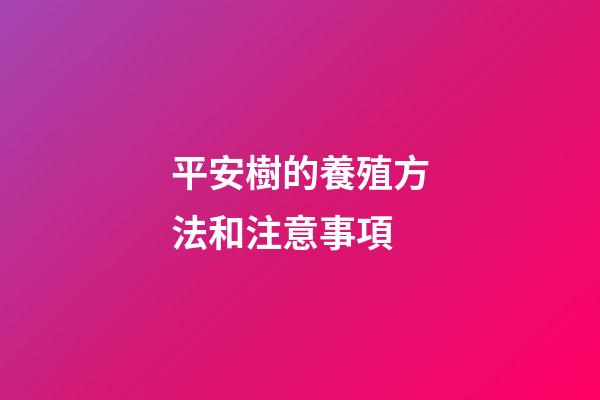 平安樹的養殖方法和注意事項