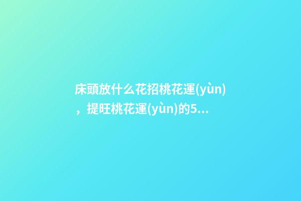 床頭放什么花招桃花運(yùn)，提旺桃花運(yùn)的5種花