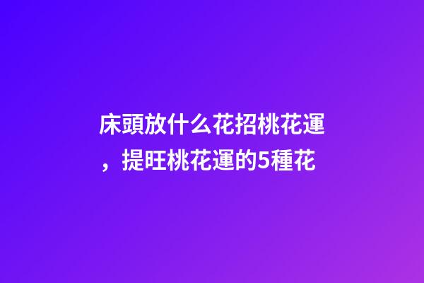 床頭放什么花招桃花運，提旺桃花運的5種花