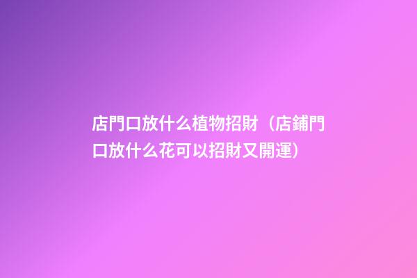 店門口放什么植物招財（店鋪門口放什么花可以招財又開運）