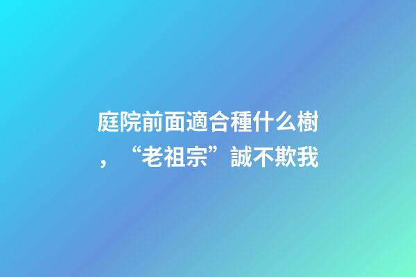 庭院前面適合種什么樹，“老祖宗”誠不欺我-第1張-觀點-玄機派