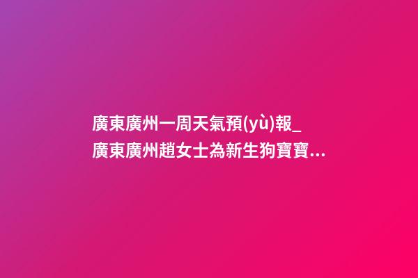 廣東廣州一周天氣預(yù)報_廣東廣州趙女士為新生狗寶寶取名智慧型套餐-第1張-公司起名-玄機派