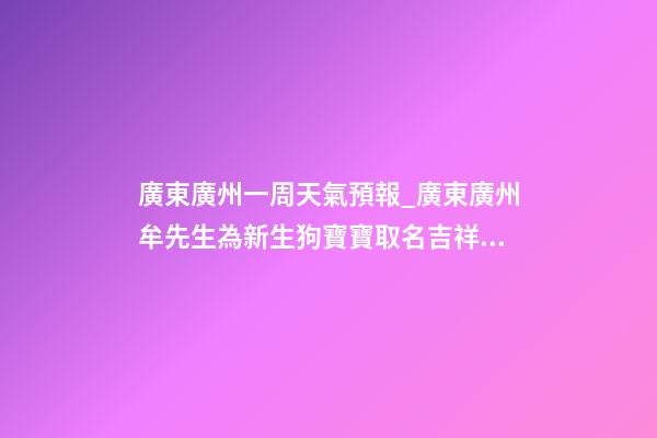 廣東廣州一周天氣預報_廣東廣州牟先生為新生狗寶寶取名吉祥型套餐-第1張-公司起名-玄機派