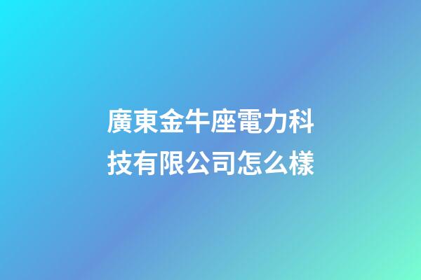 廣東金牛座電力科技有限公司怎么樣