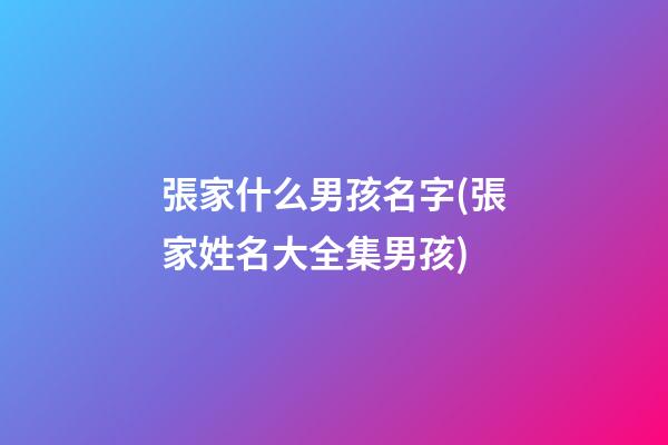 張家什么男孩名字(張家姓名大全集男孩)