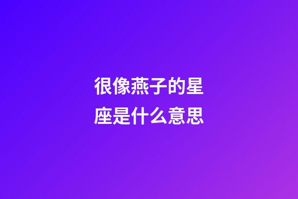 很像燕子的星座是什么意思