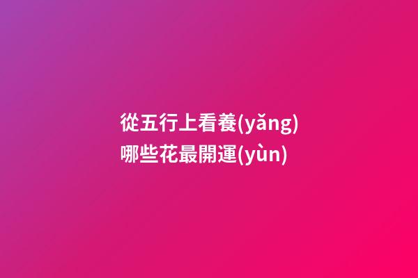 從五行上看養(yǎng)哪些花最開運(yùn)