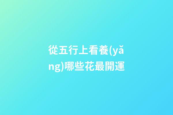 從五行上看養(yǎng)哪些花最開運