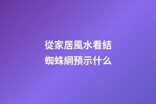從家居風水看結蜘蛛網預示什么