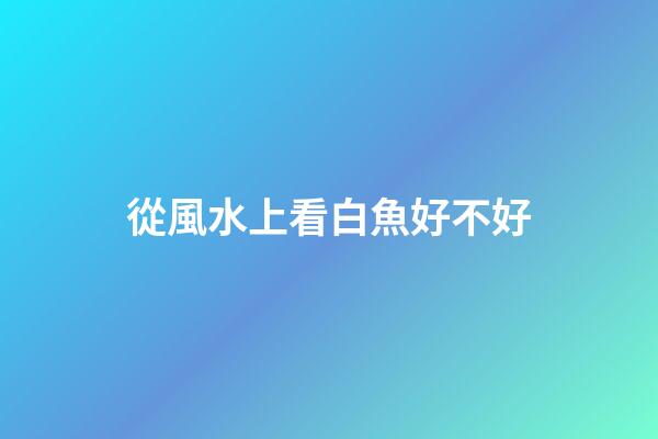 從風水上看白魚好不好
