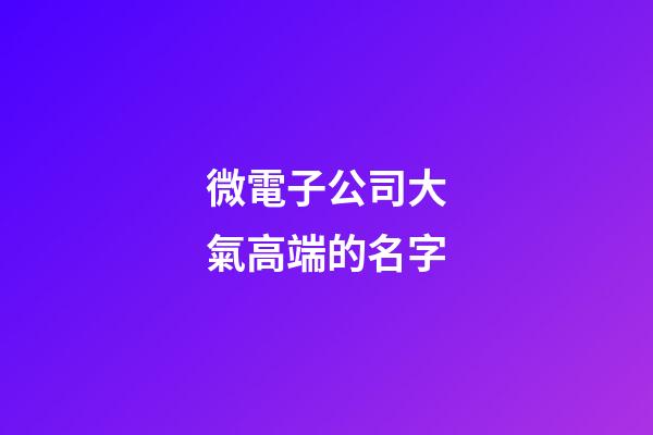 微電子公司大氣高端的名字