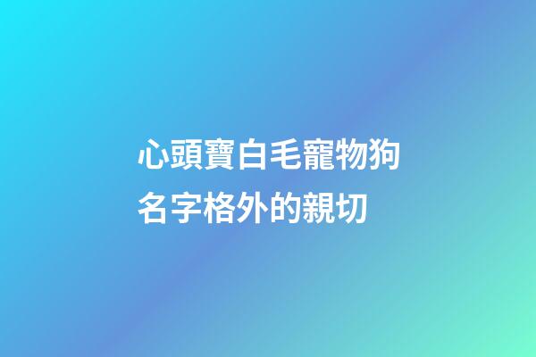 心頭寶白毛寵物狗名字格外的親切