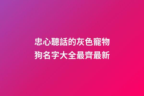 忠心聽話的灰色寵物狗名字大全最齊最新