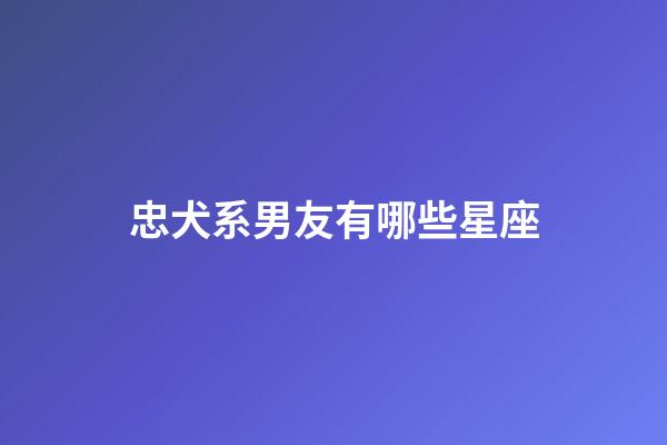 忠犬系男友有哪些星座-第1張-星座運勢-玄機派
