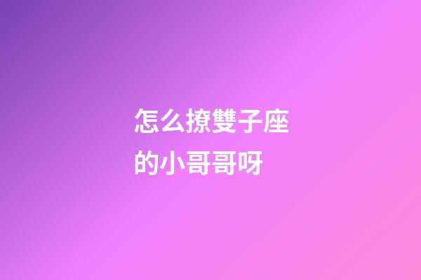怎么撩雙子座的小哥哥呀-第1張-星座運勢-玄機派