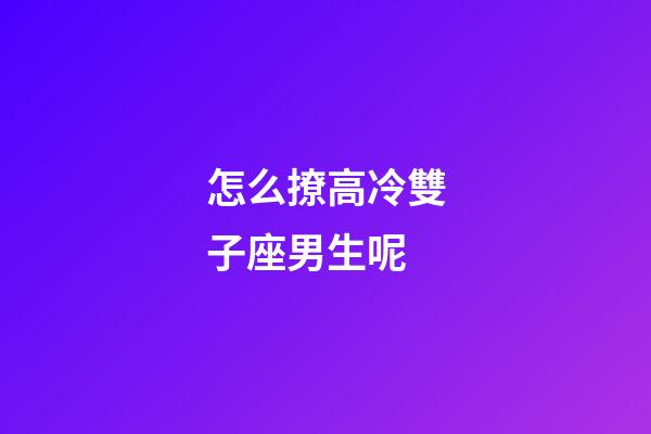 怎么撩高冷雙子座男生呢-第1張-星座運勢-玄機派