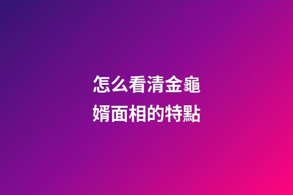 怎么看清金龜婿面相的特點