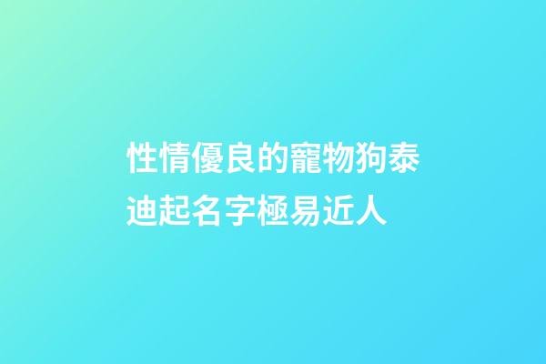 性情優良的寵物狗泰迪起名字極易近人