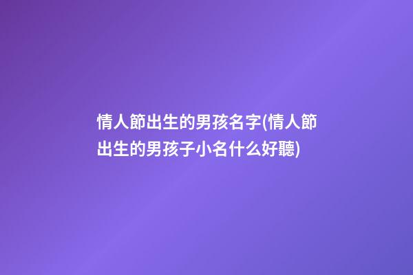 情人節出生的男孩名字(情人節出生的男孩子小名什么好聽)
