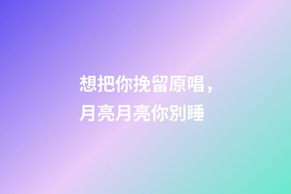 想把你挽留原唱，月亮月亮你別睡-第1張-觀點-玄機派