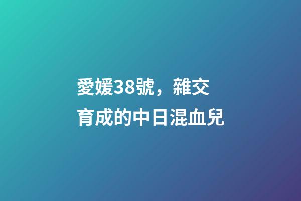 愛媛38號，雜交育成的中日混血兒-第1張-觀點-玄機派