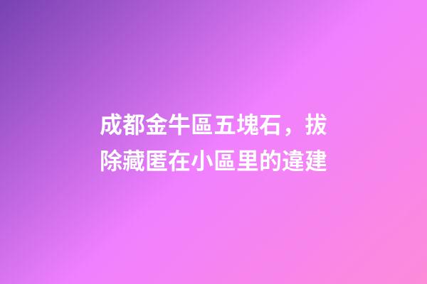 成都金牛區五塊石，拔除藏匿在小區里的違建-第1張-觀點-玄機派