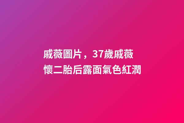 戚薇圖片，37歲戚薇懷二胎后露面氣色紅潤-第1張-觀點-玄機派
