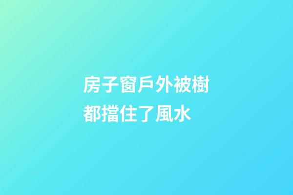 房子窗戶外被樹都擋住了風水
