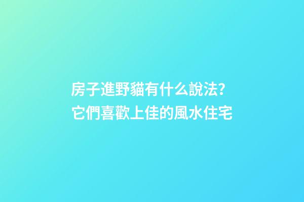 房子進野貓有什么說法？它們喜歡上佳的風水住宅