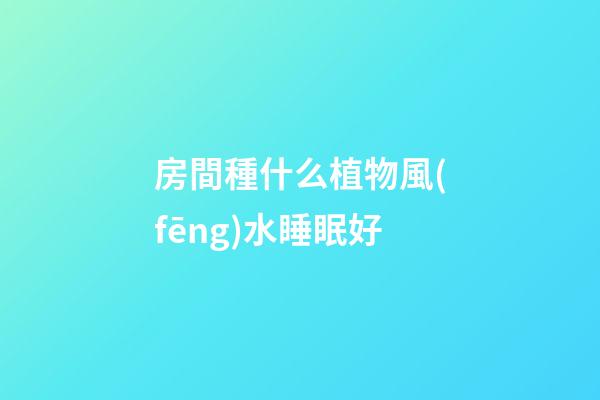 房間種什么植物風(fēng)水睡眠好