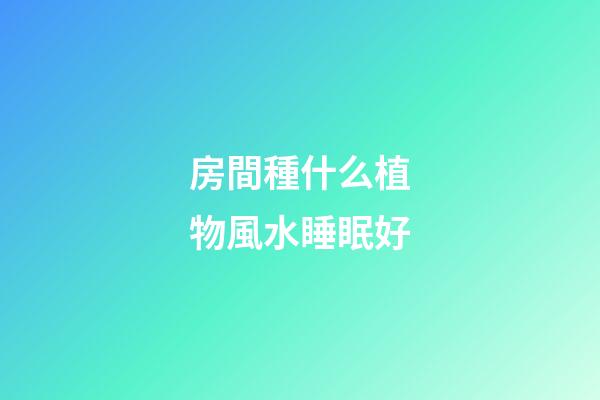 房間種什么植物風水睡眠好