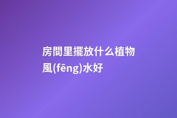 房間里擺放什么植物風(fēng)水好