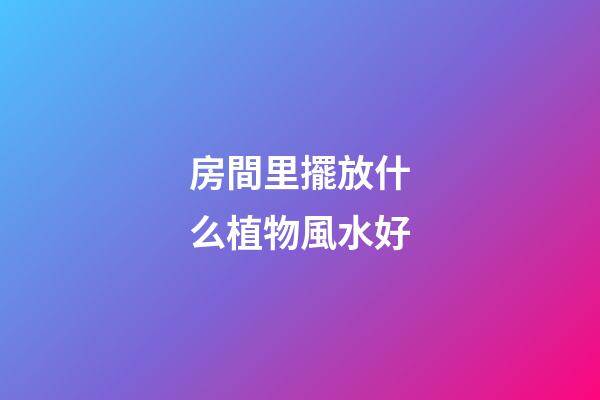 房間里擺放什么植物風水好