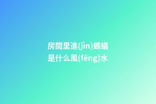 房間里進(jìn)螞蟻是什么風(fēng)水