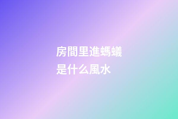 房間里進螞蟻是什么風水