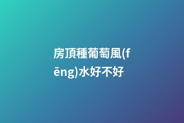 房頂種葡萄風(fēng)水好不好