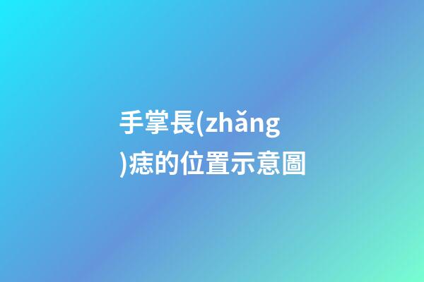 手掌長(zhǎng)痣的位置示意圖