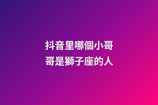 抖音里哪個小哥哥是獅子座的人-第1張-星座運勢-玄機派