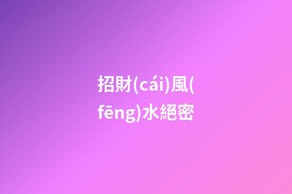 招財(cái)風(fēng)水絕密