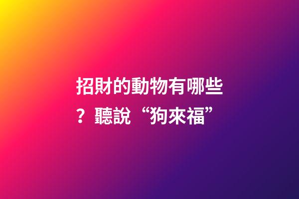 招財的動物有哪些？聽說“狗來福”