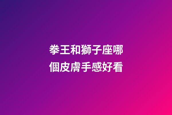拳王和獅子座哪個皮膚手感好看-第1張-星座運勢-玄機派