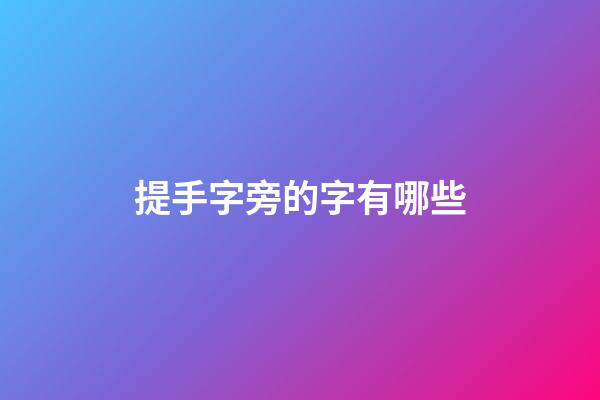 提手字旁的字有哪些