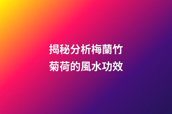 揭秘分析梅蘭竹菊荷的風水功效