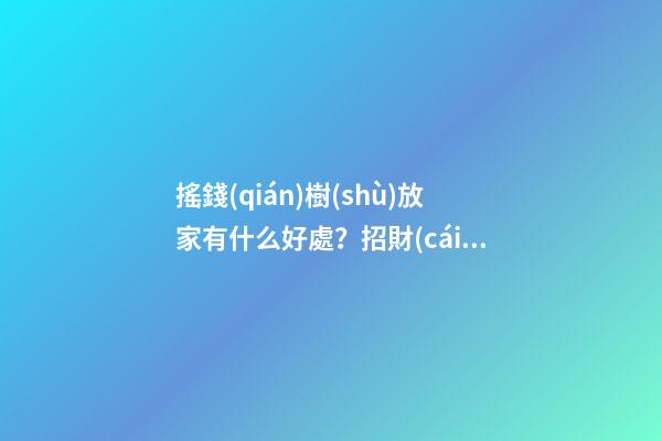 搖錢(qián)樹(shù)放家有什么好處？招財(cái)只是小case