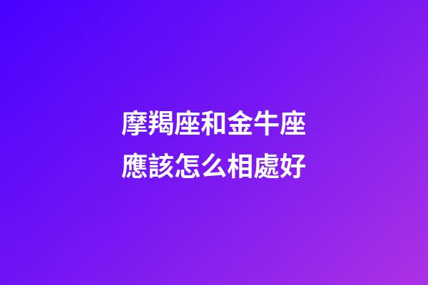 摩羯座和金牛座應該怎么相處好-第1張-星座運勢-玄機派