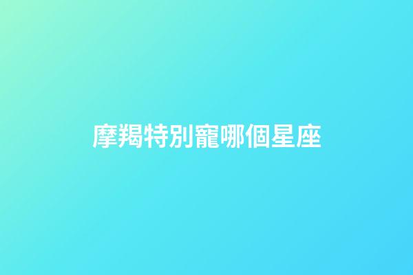 摩羯特別寵哪個星座-第1張-星座運勢-玄機派