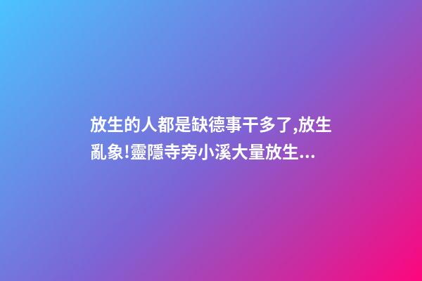 放生的人都是缺德事干多了,放生亂象!靈隱寺旁小溪大量放生烏龜死亡-第1張-觀點-玄機派